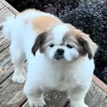 Matthew Allan Curry - @matthewallancurry - Instagram
