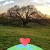Allan Curtis - Facebook