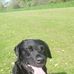 Allan Cuthbert - Facebook