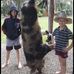 Allan Dallas - Facebook