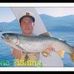 Allan Dam - Facebook