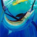 Allan Dauch - @allan_dauch - Instagram