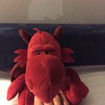 Allan Daugaard - @allan_daugaard - Instagram