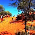 Allan Davey - @allan.davey47 - Instagram