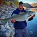 Allan Davisson - Facebook