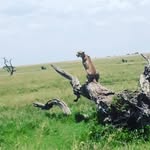 Allan Dawson - @allan.dawson.353 - Instagram