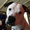 allansnowdeal - @allan885 - TikTok
