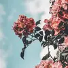 user9793661996576 - @alandsforest - TikTok