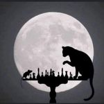 ნიკა ვაშალომიძე - @allan_dell_poe - Instagram