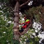 Allan Demarest - @allan.demarest.5 - Instagram