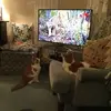 Alan Dempster - @alan.dempster - TikTok
