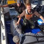 Alan Dempster - @alan.dempster100 - Instagram