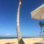 Allan Dennis - @allandennis65 - Instagram
