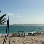 Alan Devine - @alan.devine - Instagram