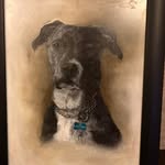 Alan Devine - @alan.devine1 - Instagram