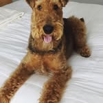 Alan Dewey - @a.dewey112 - Instagram