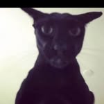 Allan Dias - @allanddias - Instagram