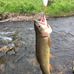 Alan Dickey - Facebook