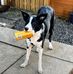 Alan Dickie - Facebook