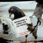 Dieu Allan - @allan_dieu - Instagram