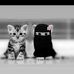 Allan Din - Facebook