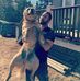Allan Dixon - Facebook