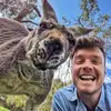 Allan - @dixonallan - TikTok