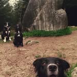 Alan dobie - @dobieboy - Instagram