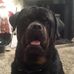 Allan Docherty - Facebook