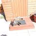 Allan Docherty - Facebook
