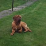 Allan Dodds - @allankeeley - Instagram