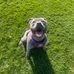 Allan Dolan - Facebook