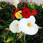 Fairouz Allan - @__fairozallan - Instagram