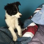 Alan Franks - @alan_deh_boi - Instagram