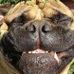 Alan Gallant - Facebook