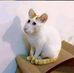 Allan Deerick Gallo - Facebook