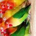 Allan Gallo - Facebook