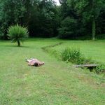 Allan Gilbert - @allan.gilbert - Instagram