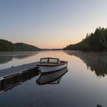 Allan Gillis - @allan.gillis.52 - Instagram