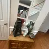 Allan_green - @allan_green08 - TikTok