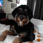 Allan Hanson - @allanfhanson - Instagram