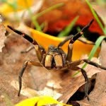 Allan Hooper - @allanhooper - Instagram