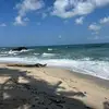 Allan Nanhoo - @allan.nanhoo - TikTok