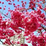 Allan Hsu - @allan.fesbook - Instagram