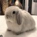 Allan Hsu - Facebook