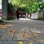 Allan Hsu - @hsu.allan - Instagram