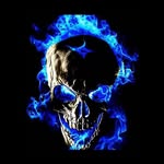 Allan Karr - @allan.karr - Instagram