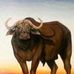 Allan Kay - Facebook