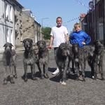 Allan Kerr - @allan_kerr2 - Instagram