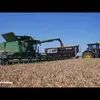 allanklein80 - @allanklein80 - TikTok